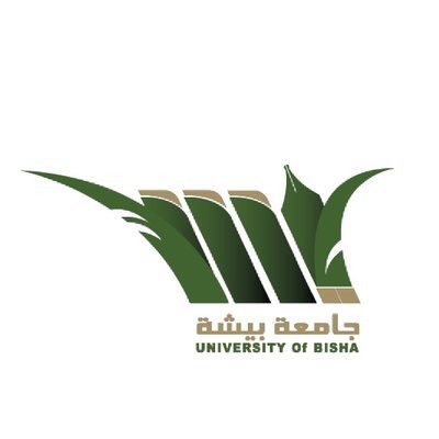  جامعة بيشة تعلن عن توفر 42 وظيفة أكاديمية شاغرة